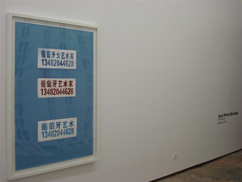 /Content/Files/Work/Chinoiserie/stencil_azul_w800.jpg